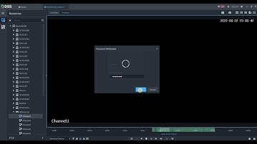 DSS Express V8 export video
