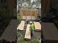 From Empty Backyard to Dream House in 30 Seconds! 🏡✨