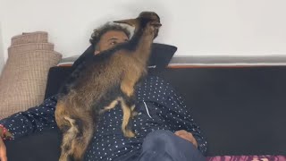 Download Lagu VLOG 24/11/2025 MP3