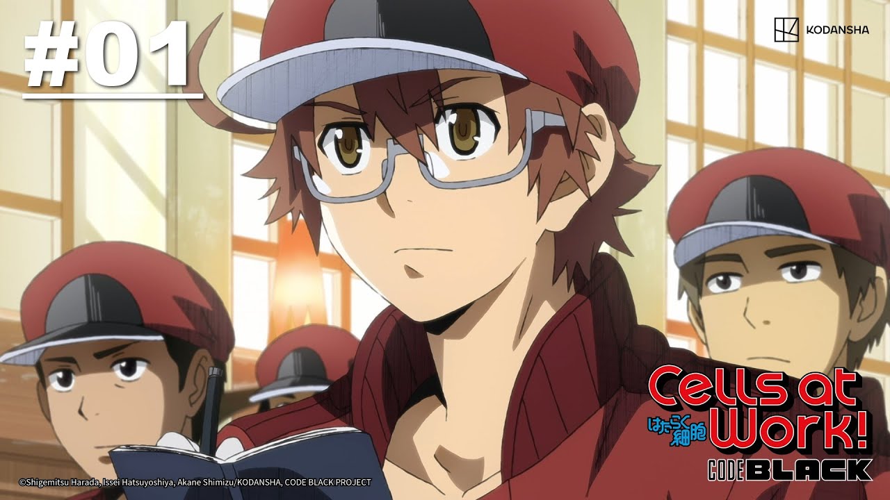 Cells at Work! CODE BLACK - Episode 01 [EN Sub] | Muse IN - YouTube