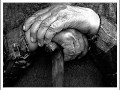 Орк Извор Нито едно зелено листо 