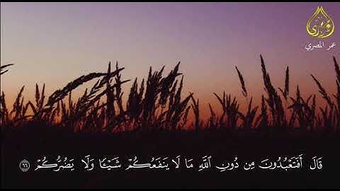 قال أفتعبدون من دون لله مالا ينفعكم شيئا ولا يضركم ( تلاوة رائعة من سورة الأنبياء)