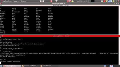 Hacking con Python - Parte IXX Automatizacion con Pexpect