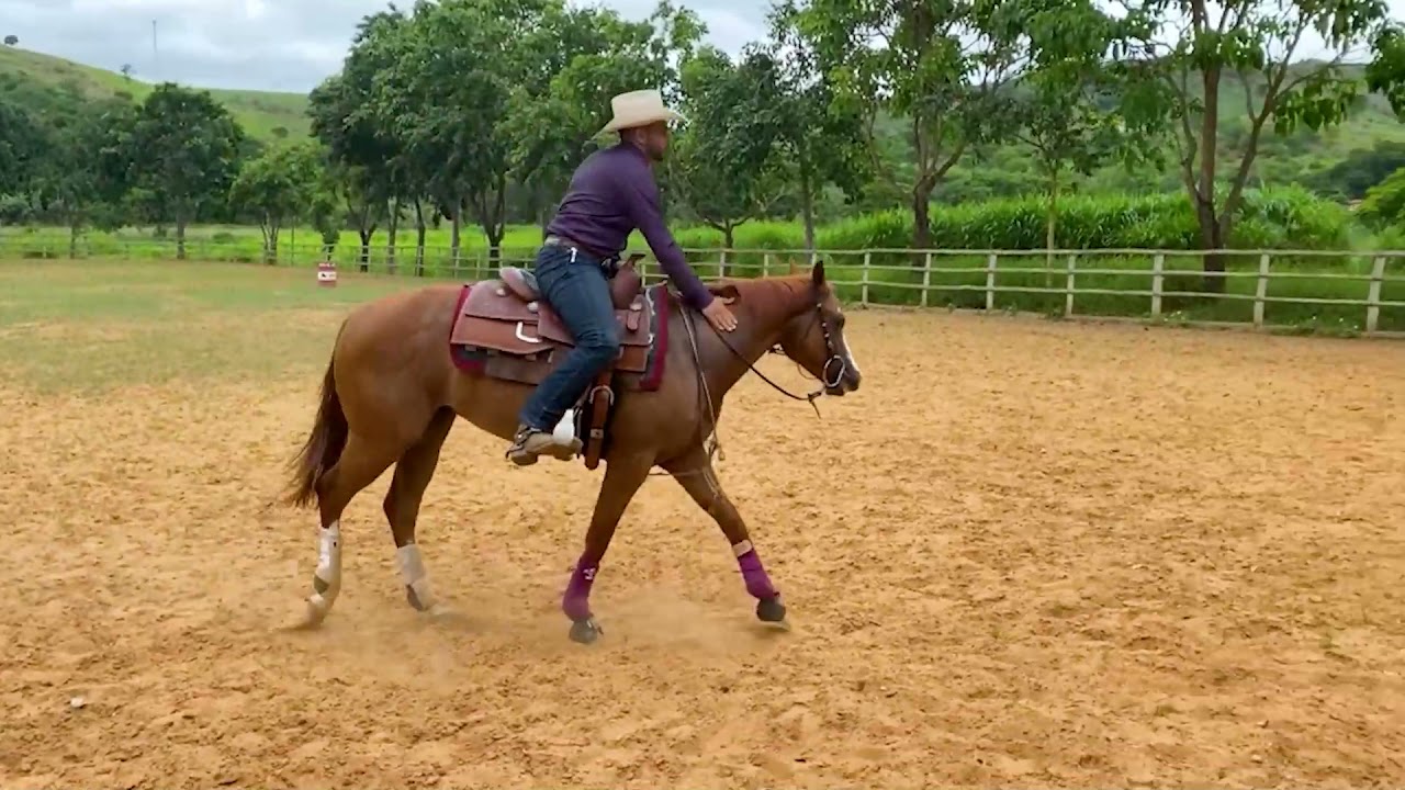 CORRIGINDO CAVALO MAL DOMADO - AULA DE DOMA