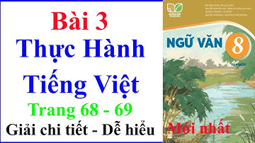 Ngữ Văn 8 Bài 3 | Thực Hành Tiếng Việt | Trang 68 – 69 | Kết Nối Tri Thức