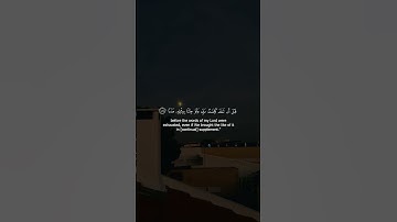 سورة الكهف - الآية 109 - تلاوة محمد المنشاوي