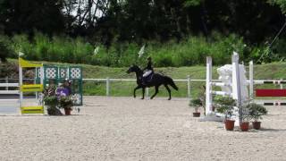 MVI 9777