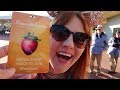 Disney's Flower & Garden Festival | Behind The Seeds Tour, Purple Martins & Sampling Menu Items!