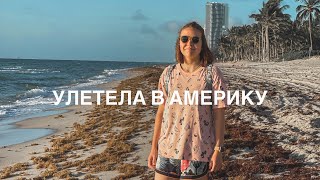 :    | College Journey: 