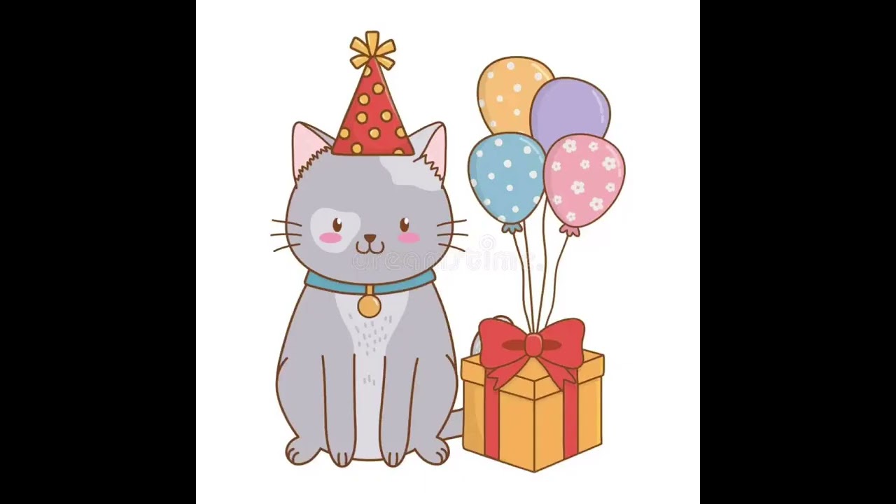 Birthday cat story🎂🧁🤩