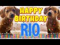 Happy Birthday Rio! ( Funny Talking Dogs ) What Is Free On My Birthday