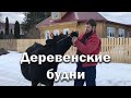 Деревенские будни// Не покрылась// Гуси// Пчелы.