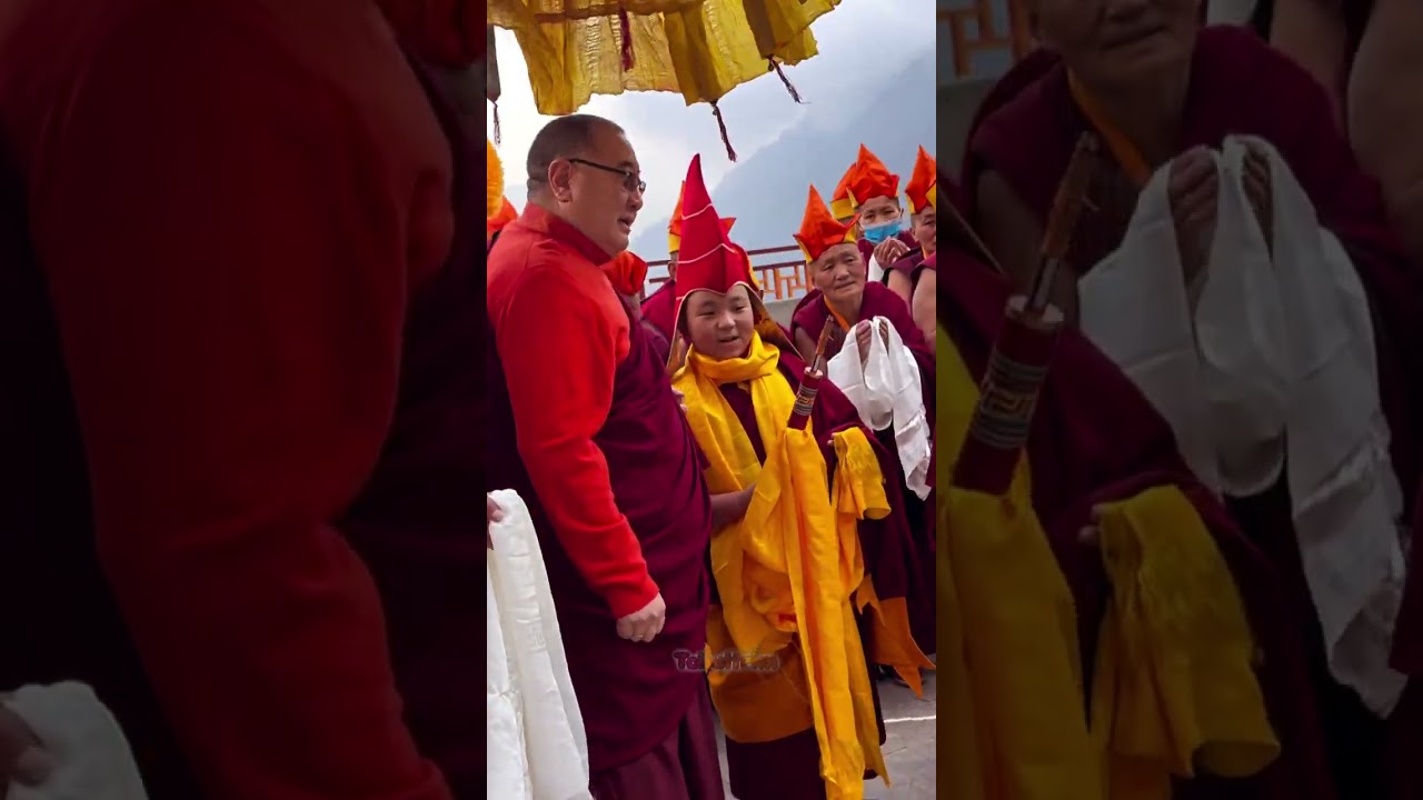 Kyabje Trulshik Yangsi Rinpoche warmly welcomes Shechen Rabjam Rinpoche la