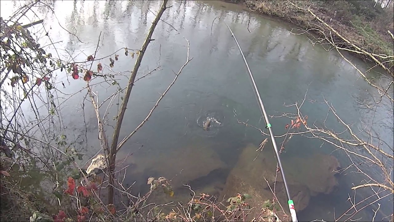 Pesca a vista con il lombrico - YouTube