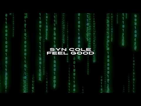 Syn Cole Feel Good Instrumental NCS Purple Remake 