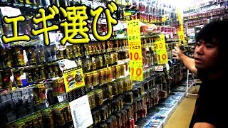 収入に応じたイカ釣りからのイカ料理！　前編