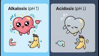 Cracking Acid Base Balance