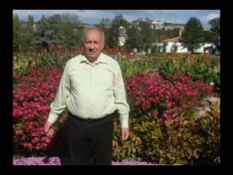 Букет, доставка цветов элиста долина