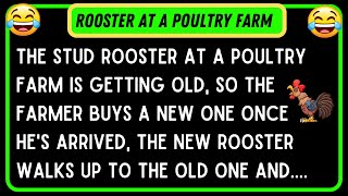 The Stud Rooster At A Poultry Farm Is Getting Old | jokes of the day