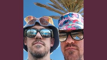 Vibrissae Cargo scars Run Deep