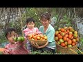 Harvesting tomatoes selling them to the market with my daughter everyday life