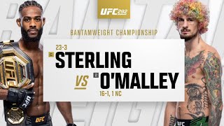 UFC 292: Aljamain Sterling vs Sean O'Malley Highlights