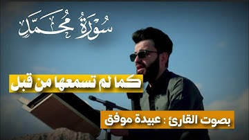 سورة محمد كاملة| بصوت القارئ الشيخ عبيدة موفق| من المناطق الطبيعية في كردستان