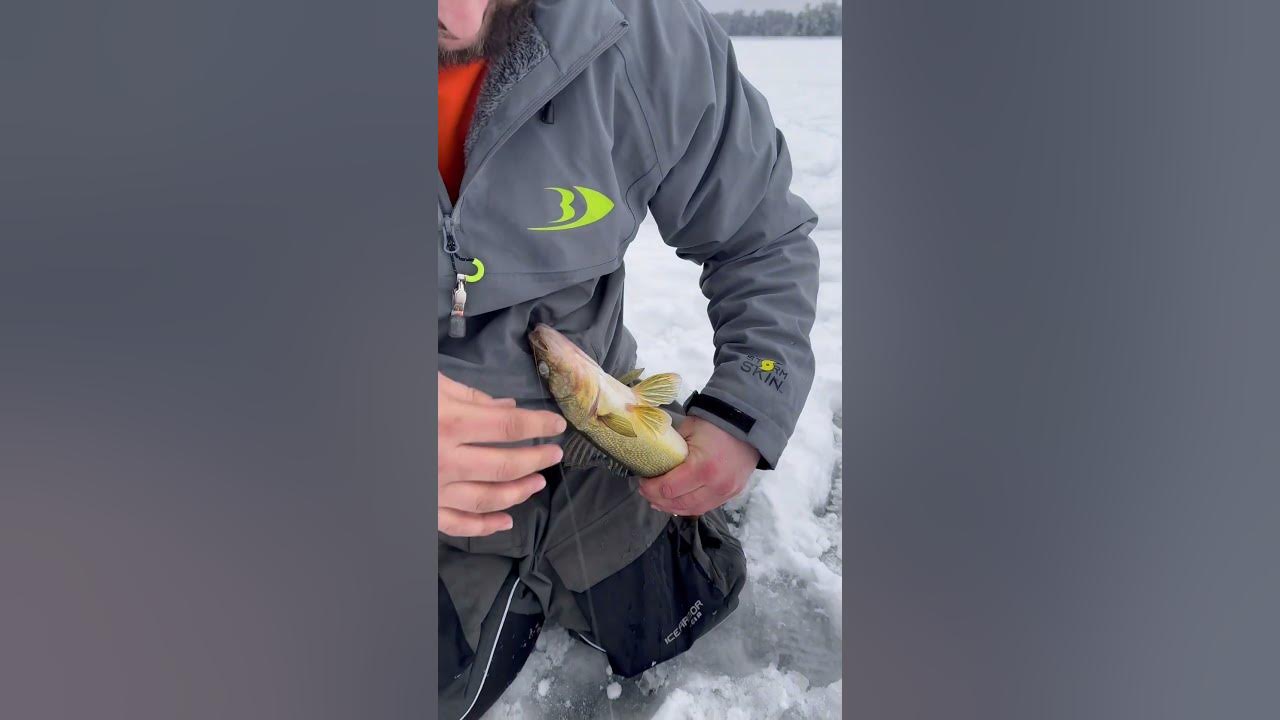Catching walleye on automatic fisherman never gets old icefishing 