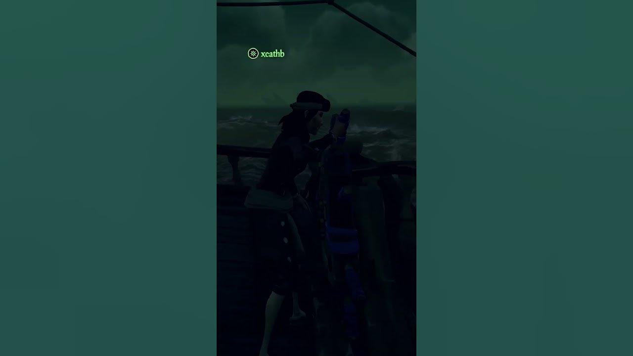 Dont drink and sail seaofthieves pcgaming gaming youtubeshorts 