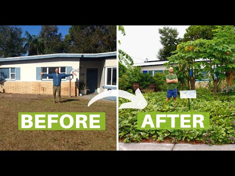 Video: Nerastlinné alternatívy trávnikovej trávy – záhradnícke know how
