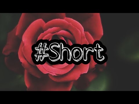 ecoshop viral #Shorts