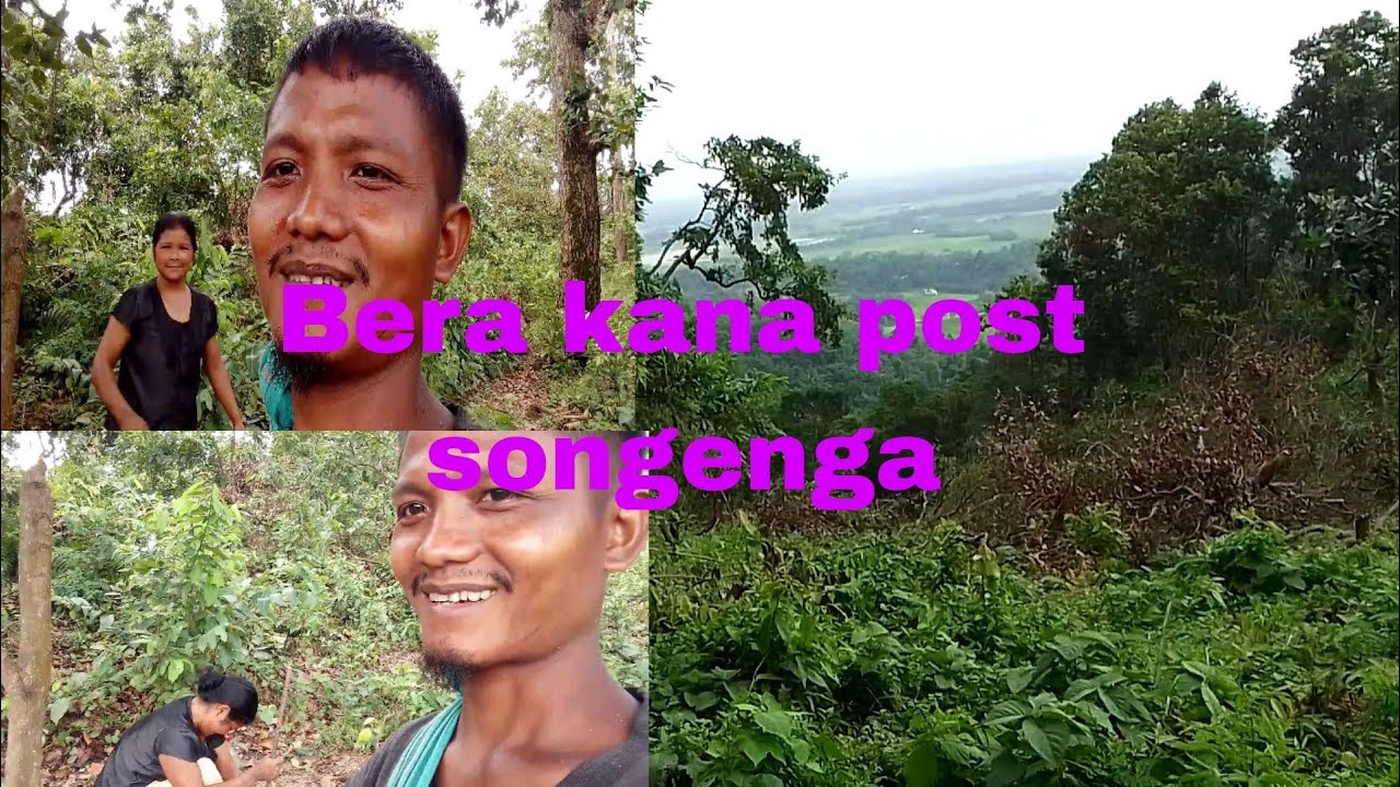 Bera kana post songenga