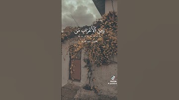 🌸تلاوة طيبة من القرآن الكريم🌸 #راحة_نفسية ✨