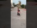 Gadi ayi gadi ayi 😍🥰 #cute #masti #playstation #shorts #funny #kidsvideo #trending #rhymes