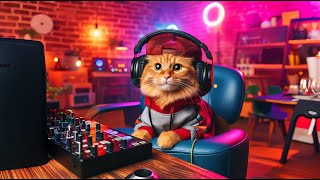 CAT RADIO! LIVE RELAXING SLEEP MUSIC | BEATS TO RELAX/SLEEP | MUSIC TO RELAX YOUR CAT #cat