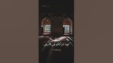 تلاوة من سورة النحل| إبراهيم محمد