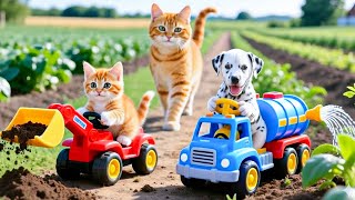 Download Lagu Cute Mama Cat Trims Fur on the Farm and Makes Tiger Hat For Kittens At Home🐾🎩🐯 MP3 Download Lagu Cute Mama Cat Trims Fur on the Farm and Makes Tiger Hat For Kittens At Home🐾🎩🐯 MP3