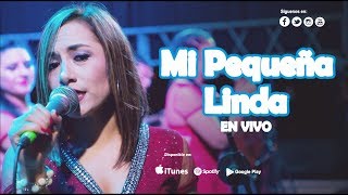 Video thumbnail of "Deleites Andinos  -  Mi Pequeña Linda  | En Vivo en Piura"
