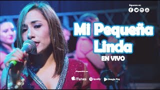 Deleites Andinos  -  Mi Pequeña Linda  | En Vivo en Piura chords