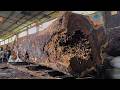 Extreme Giant Trembesi Slab Sawmill ⚠️ Cracks, Rot, and Dangerous Cuts 😨