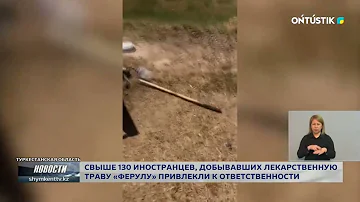 СВЫШЕ 130 ИНОСТРАНЦЕВ, ДОБЫВАВШИХ ЛЕКАРСТВЕННУЮ ТРАВУ «ФЕРУЛУ» ПРИВЛЕКЛИ К ОТВЕТСТВЕННОСТИ