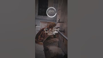 { وَكَأَيِّن مِّن دَابَّةٍ لَّا تَحْمِلُ رِزْقَهَا اللَّهُ يَرْزُقُهَا ... } اا** لقارئ هيثم الدخين