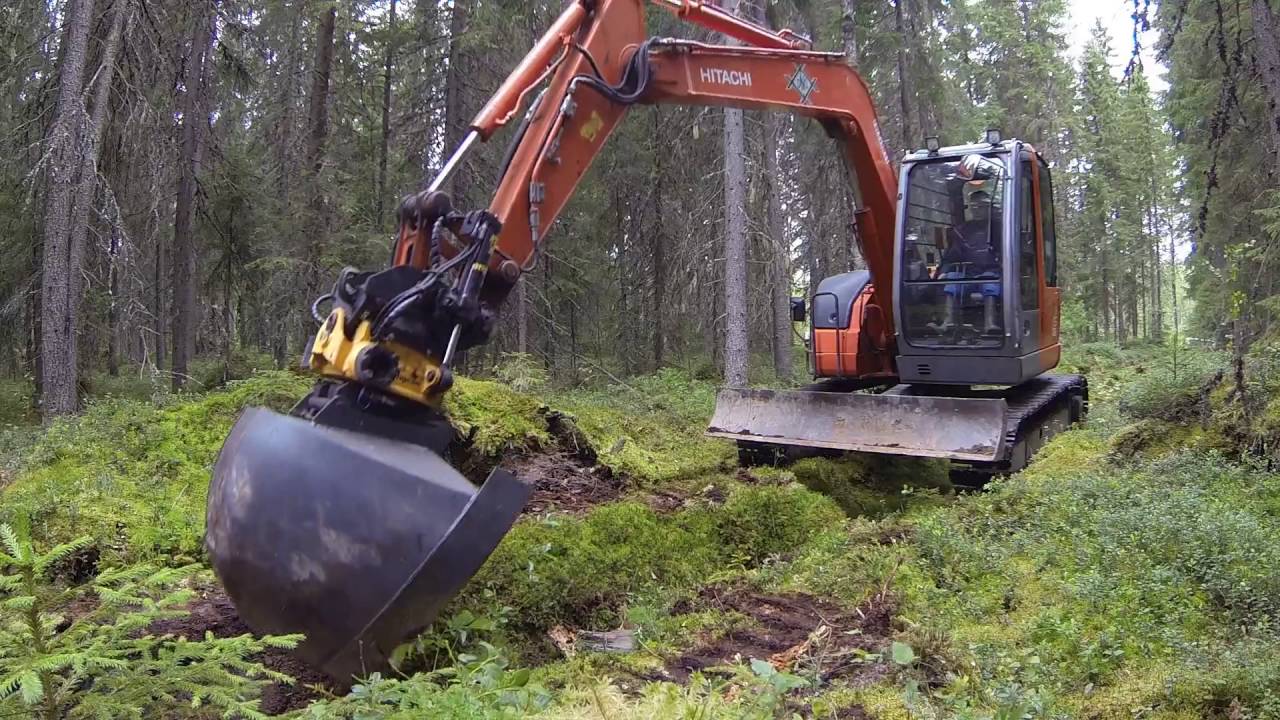 Forest ditch clearing