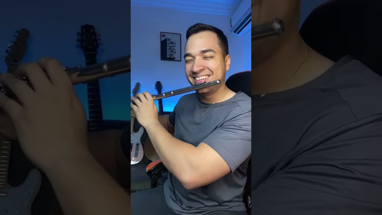 Olha a reação dos meus vizinhos toda vez que toco essa música #flauta #bumbumtatan #flautaenvolvente