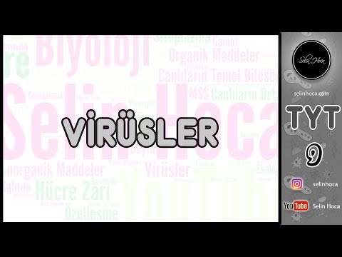 26) Virüsler