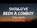 Toby Keith - Should