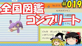 コラッタ Youtube