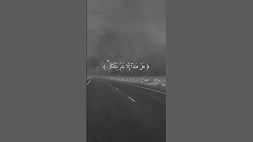 اذكر ربك بالتعليقات 🎧💔 #سورة_الأنبياء #اسلام_صبحي #quran #foryou #explore #fyp
