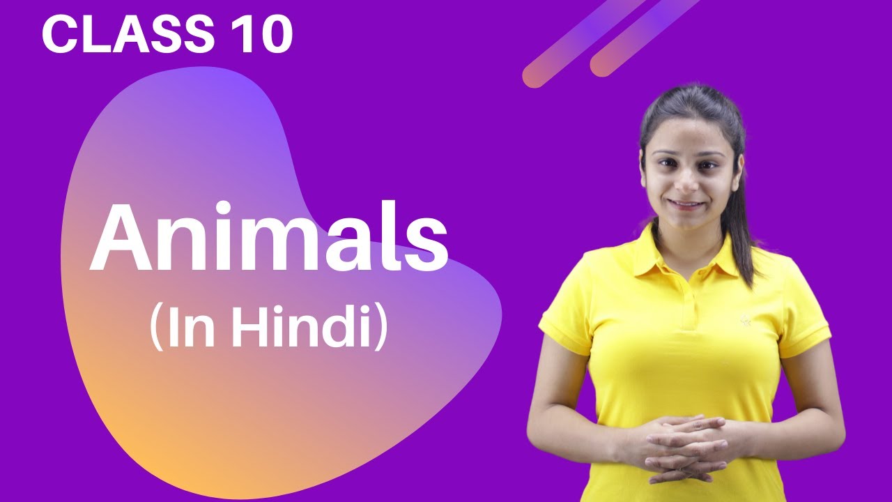 Animals Class 10 | Animals Class 10 English | Full (हिन्दी में) Explanation  | Extra Class - YouTube