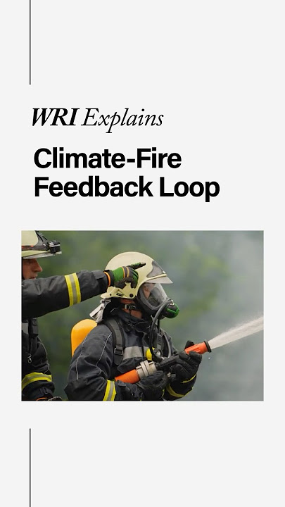 Why are forest fires getting worse? Climate-Fire Feedback Loop Explained